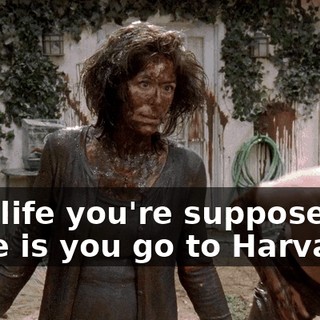 The life you're supposed to have is you go to Harvard