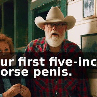 our first five-inch horse penis.