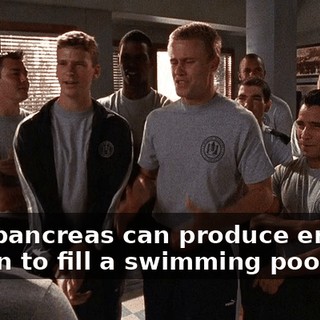 Your pancreas can produce enough insulin to fill a swimming pool.