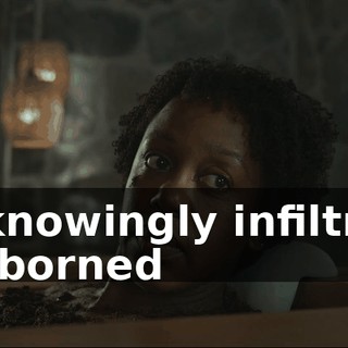 You knowingly infiltrated or suborned