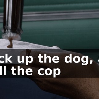 I pick up the dog, and I tell the cop
