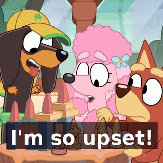 I'm so upset!