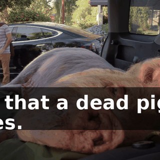 Is that a dead pig? Yes.