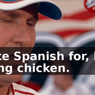 It's like Spanish for, like, a fighting chicken.