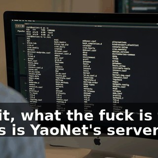 - Wait, what the fuck is this? - This is YaoNet's server?