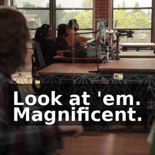 Look at 'em. Magnificent.