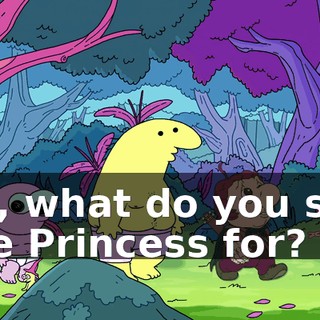 So, what do you see the Princess for?