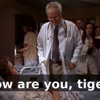How are you, tiger?