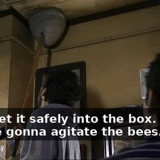 196ad01b-414f-4277-a59a-5896bfc2f564.gif
