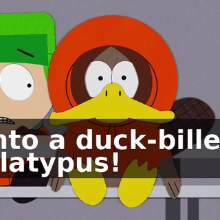 196bef2b-1c34-4ac4-ae5a-8260281c6c9f.gif