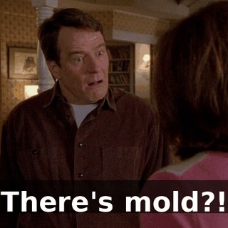 There's mold?!