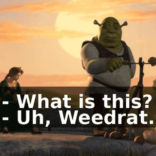 - What is this? - Uh, Weedrat.