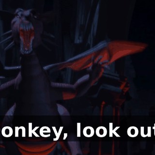 Donkey, look out!