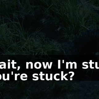 19b353d1-c708-489b-b232-328b93a490af.gif
