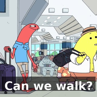 Can we walk?