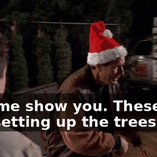 Let me show you. These are for setting up the trees.