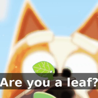 Are you a leaf?