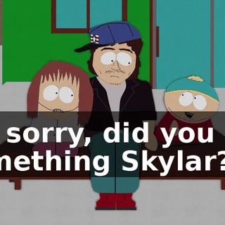 I'm sorry, did you say something Skylar?