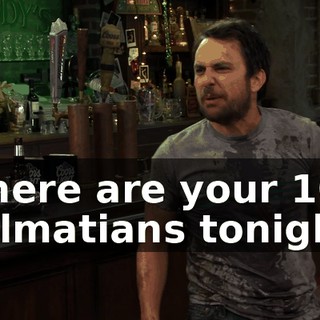 Where are your 101 Dalmatians tonight?