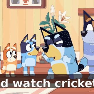 and watch cricket?!