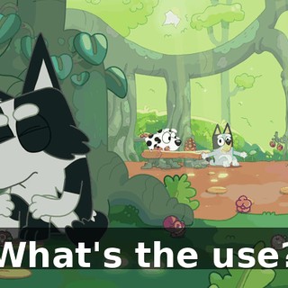 What's the use?