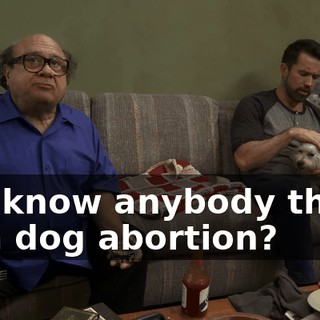 1aa470da-7250-42db-9687-8cfbd8c47eec.gif