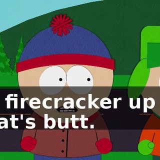 a firecracker up a cat's butt.