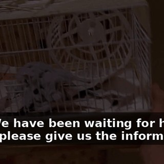 No. We have been waiting for hours. Now, please give us the information.