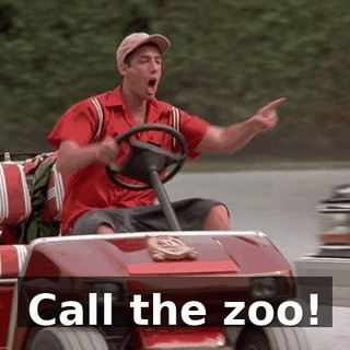 1b1c879b-9d5b-4cab-b666-f8a4da0b5b79.gif