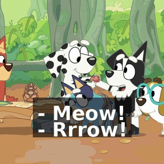 - Meow! - Rrrow!