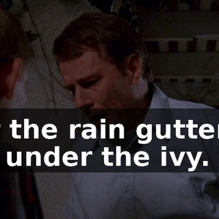 Or the rain gutters, or under the ivy.