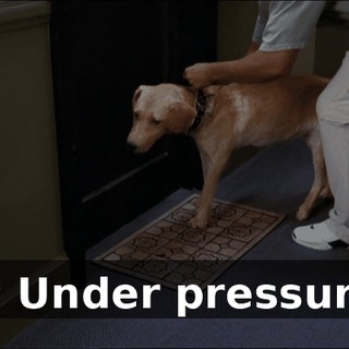 1ba27b41-ce82-45cb-9e83-eefdf57a6db2.gif
