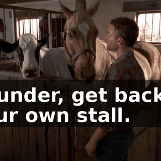 Thunder, get back in your own stall.