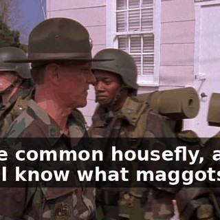 1bdb02c2-e4c5-42f5-8516-08e78e29a118.gif