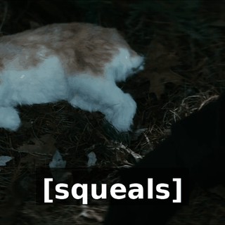1beb93d8-48a1-42bf-bc17-8a8b4442537d.gif