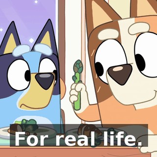 1bf2c58a-b54d-4da1-b140-6573e75279a8.gif