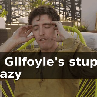 of Gilfoyle's stupid crazy