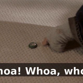 1cd3721b-b8a1-46f1-9ab1-55b9fe354b7c.gif