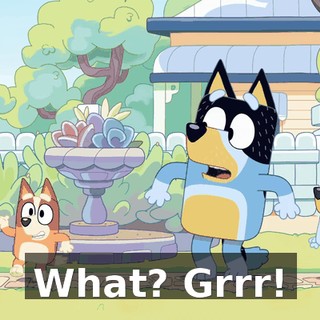 What? Grrr!