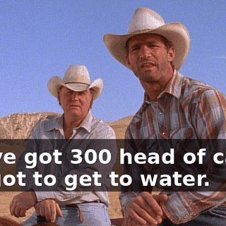 We've got 300 head of cattle we got to get to water.