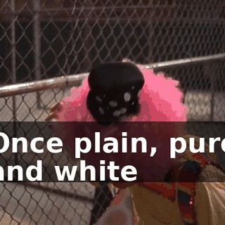 ♪ Once plain, pure and white ♪