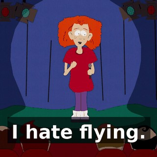 I hate flying.