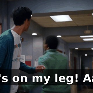 1e2a4ada-b791-4824-b1c6-c2fc0caa32fa.gif