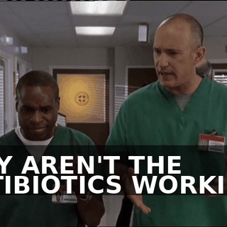 1e5f2160-e9b9-4741-8afc-cc8ce5b772d5.gif