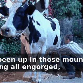 You been up in those mountains so long all engorged,