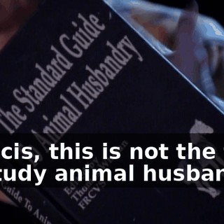 Francis, this is not the time to study animal husbandry.