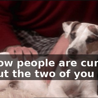1f762492-b8b5-4c4e-8ff2-27cb6471eab3.gif
