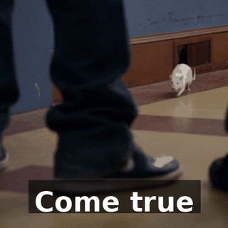 2038514a-a55c-4418-bf83-2179c7739916.gif