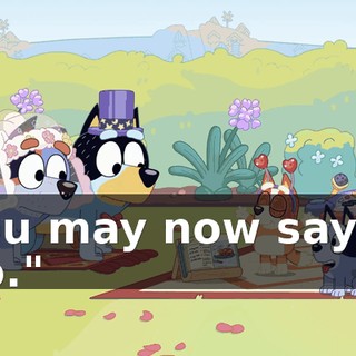 You may now say "I do."