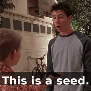 This is a seed.